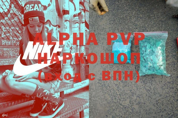 гашик Заречный