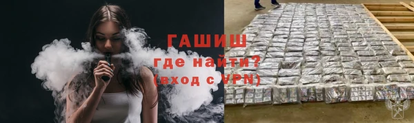 гашик Заречный