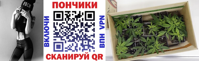 KRAKEN зеркало  что такое наркотик  Афипский  Бошки Шишки Ganja 
